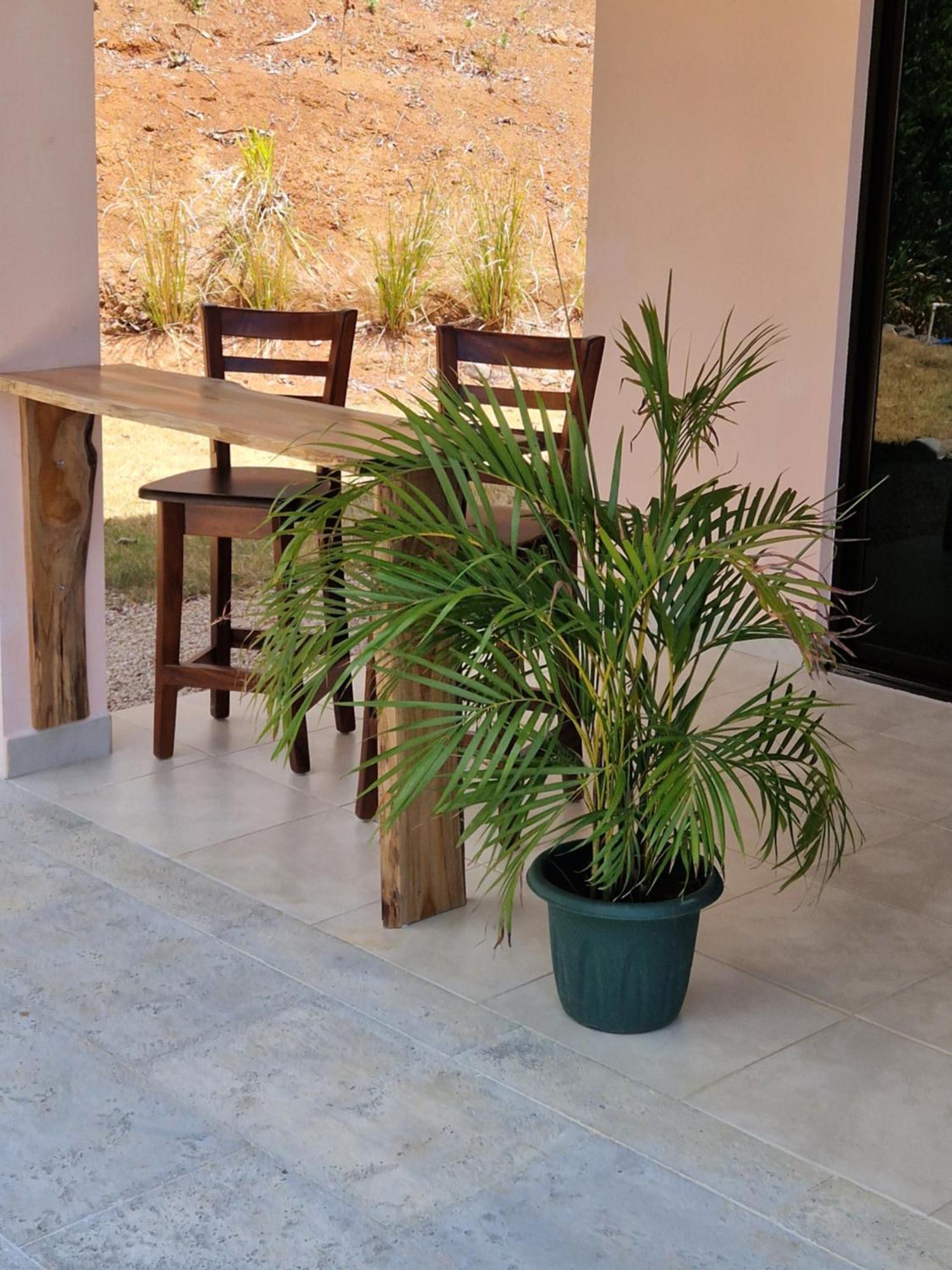 Vista Mar Y Monos Bed & Breakfast Samara Exterior photo
