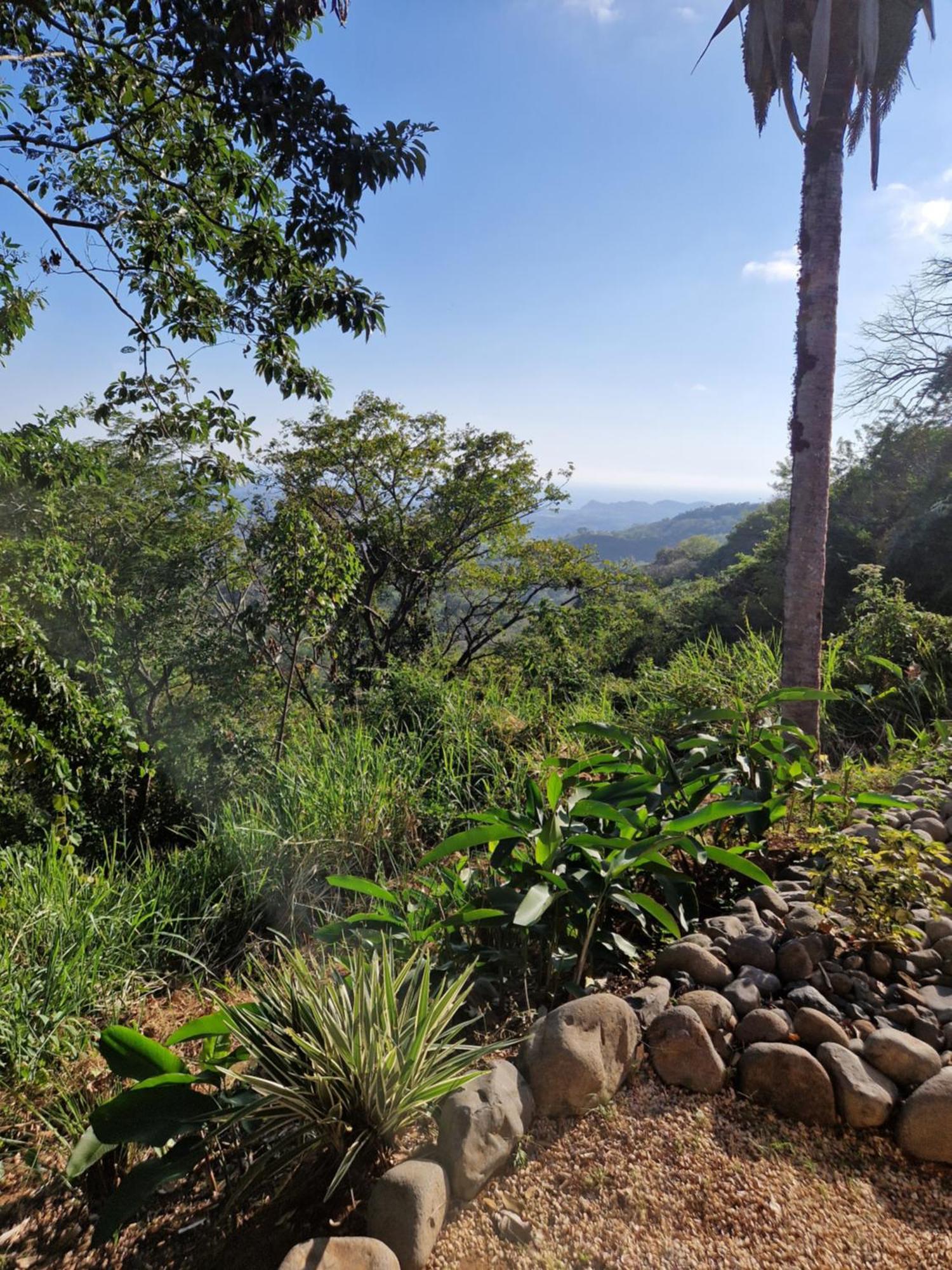 Vista Mar Y Monos Bed & Breakfast Samara Exterior photo